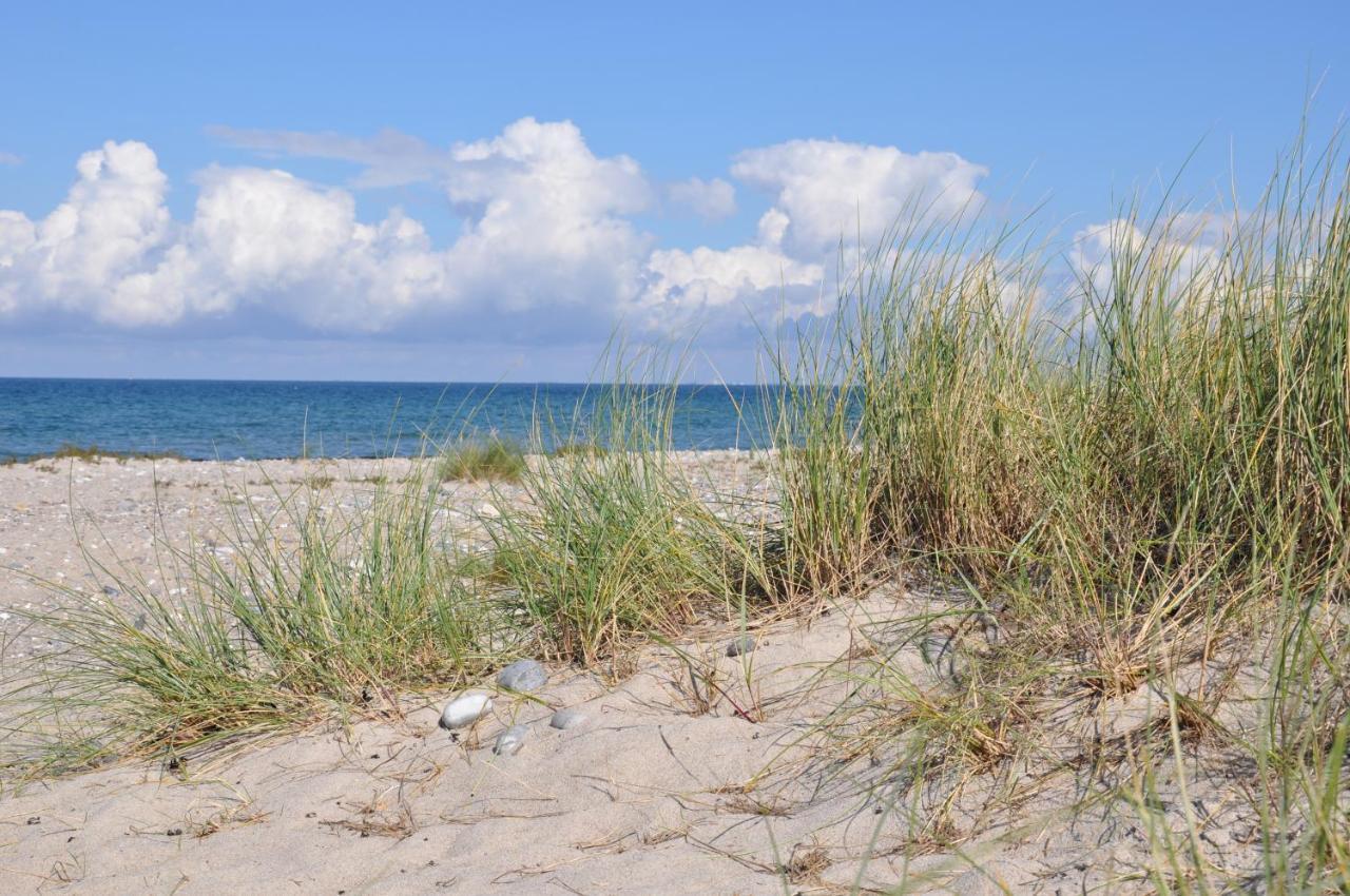 Burgtiefe Suedstrand "Duenennest" Fehmarn Kültér fotó